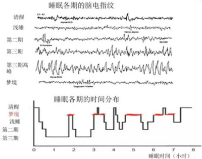 睡眠分布图