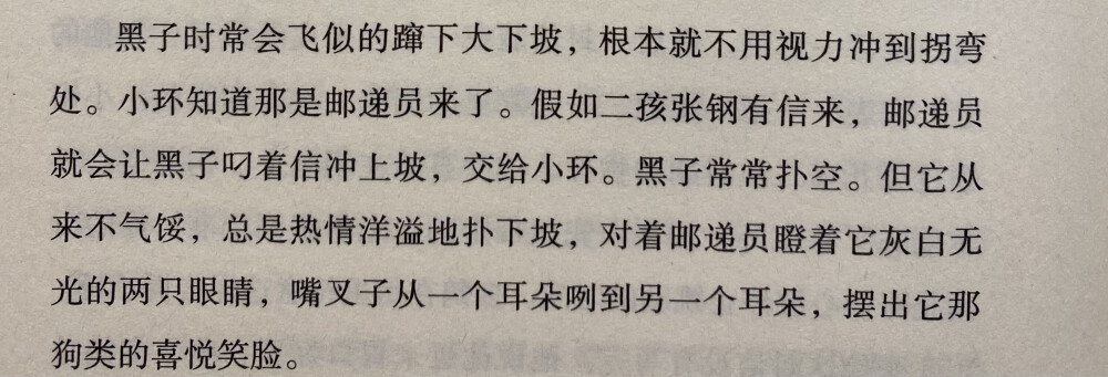 《小姨多鹤》