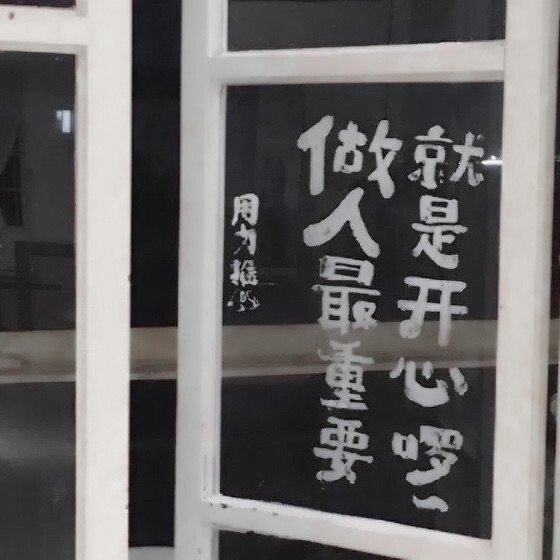 ：小猫的属性是百分百爱主人