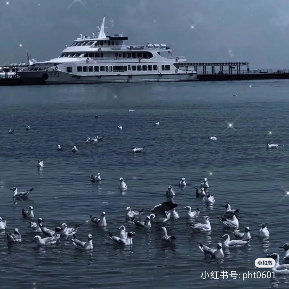 背景图‖蓝色冷淡风
其实
我不怕你突然出现在我生活里接着
再突然消失
因为我知道这大概是生活的常态吧上帝安排好了
让我来不及爱谁
谁 也不爱