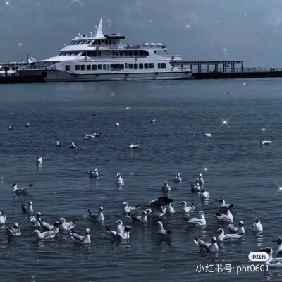 背景图‖蓝色冷淡风
其实
我不怕你突然出现在我生活里接着
再突然消失
因为我知道这大概是生活的常态吧上帝安排好了
让我来不及爱谁
谁 也不爱