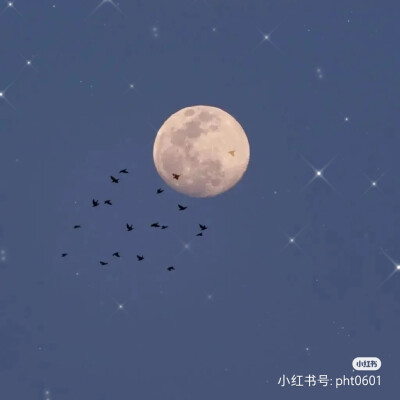 背景图‖蓝色冷淡风
其实
我不怕你突然出现在我生活里接着
再突然消失
因为我知道这大概是生活的常态吧上帝安排好了
让我来不及爱谁
谁 也不爱