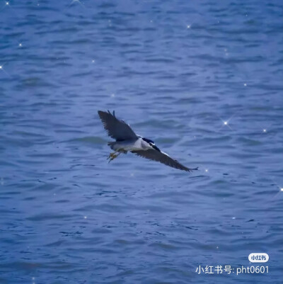 背景图‖蓝色冷淡风
其实
我不怕你突然出现在我生活里接着
再突然消失
因为我知道这大概是生活的常态吧上帝安排好了
让我来不及爱谁
谁 也不爱