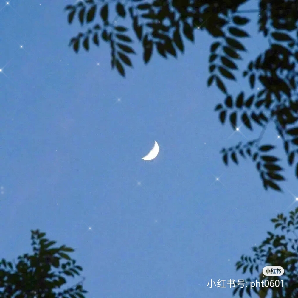 背景图‖蓝色冷淡风
其实
我不怕你突然出现在我生活里接着
再突然消失
因为我知道这大概是生活的常态吧上帝安排好了
让我来不及爱谁
谁 也不爱