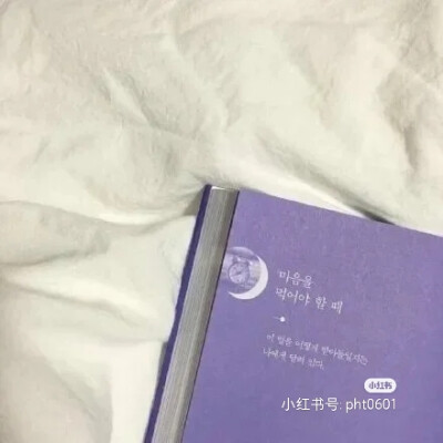 背景图‖治愈紫色系♥
我肯定在一百年前就说过我爱你
只是你没听见
而我忘记了