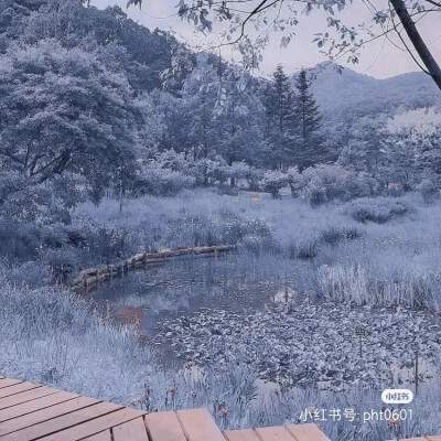 背景图‖蓝色冷淡风♥
我站在地球的另一边
想的却是你笑盈盈的双眼