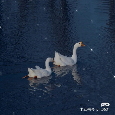 背景图‖蓝色冷淡风♥
我站在地球的另一边
想的却是你笑盈盈的双眼