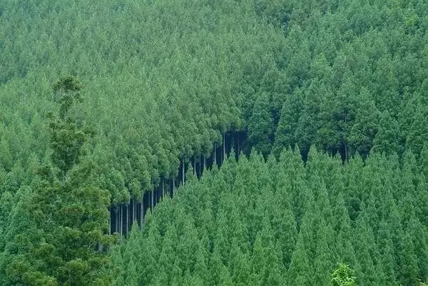 东山魁夷