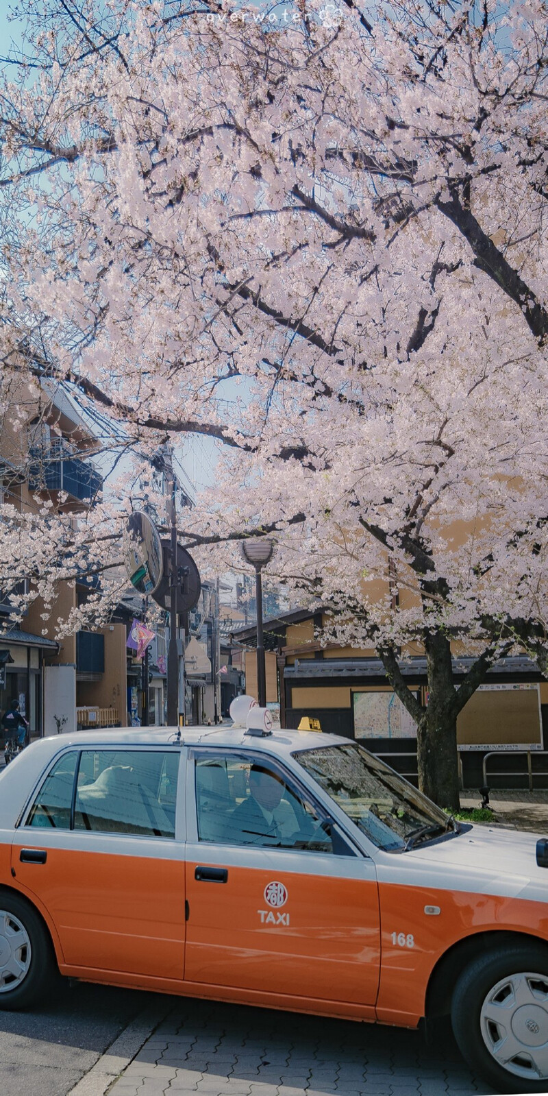 写给春天的那首三行诗 落款是花瓣
©️overwater