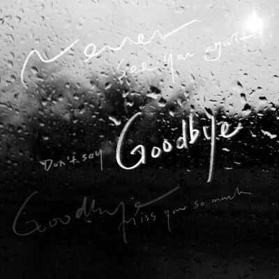 ：：永远不说goodbye