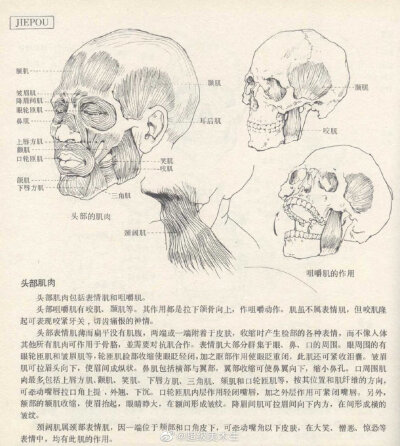 素描知识