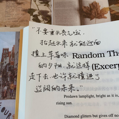 语录分享 | 励志句子
背景书：《英译中国现代散文》
笔：晨光Q7
©️小熊手写-