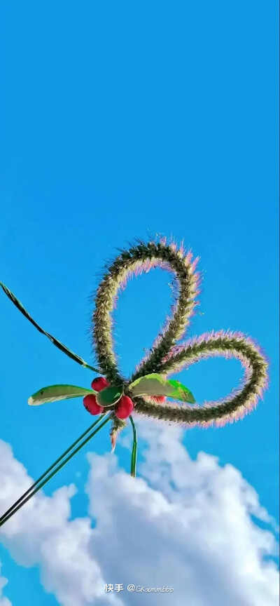 都说秋天适合思念 其实更适合见面 