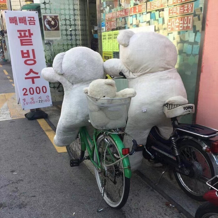 花会沿路盛开 你以后的路也是 所以要有未来.
今日份朋友圈背景图/ins潮图
源自各处 侵权致歉.