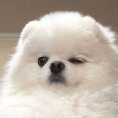 头像 可可爱爱 奇奇怪怪