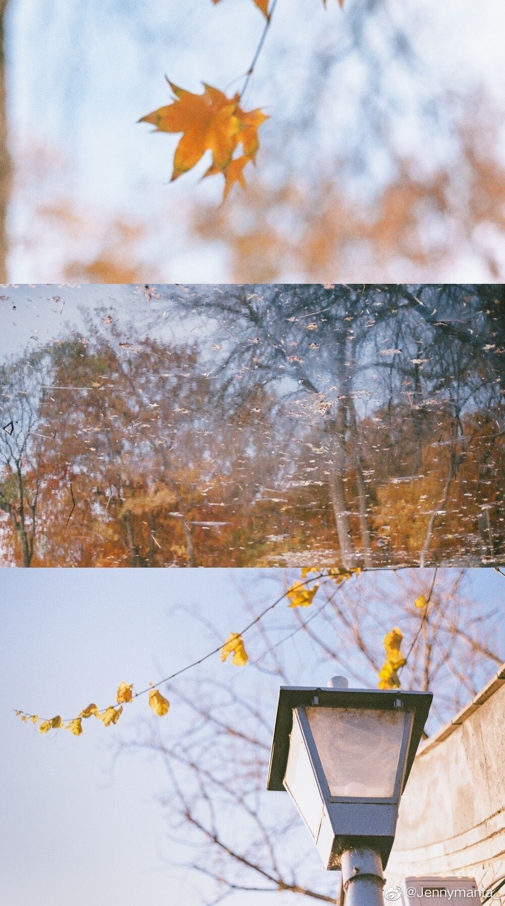 风好像一夜间就变得温润潮湿起来了，去逛公园吧
摄影 @Jennymanta_ ​