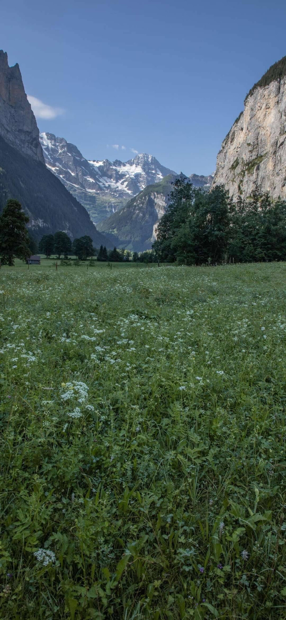 风景壁纸 图源水印