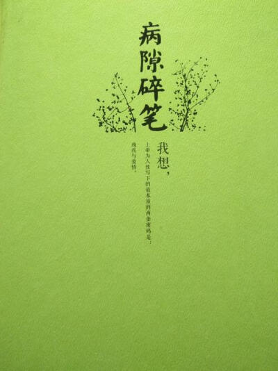 《病隙碎笔》 是2008年在人民文学出版社出版的长篇哲思抒情散文随笔集，作者是史铁生。