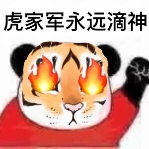 老虎表情包 