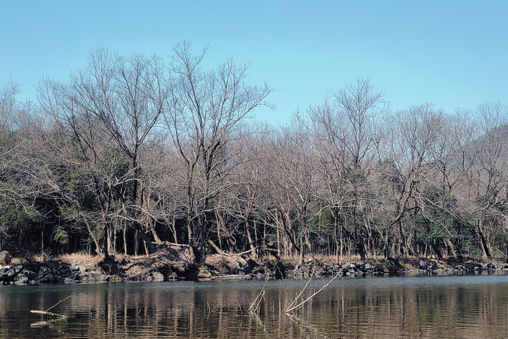 风景