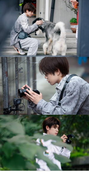 易烊千玺/肖战/王一博/王晨艺