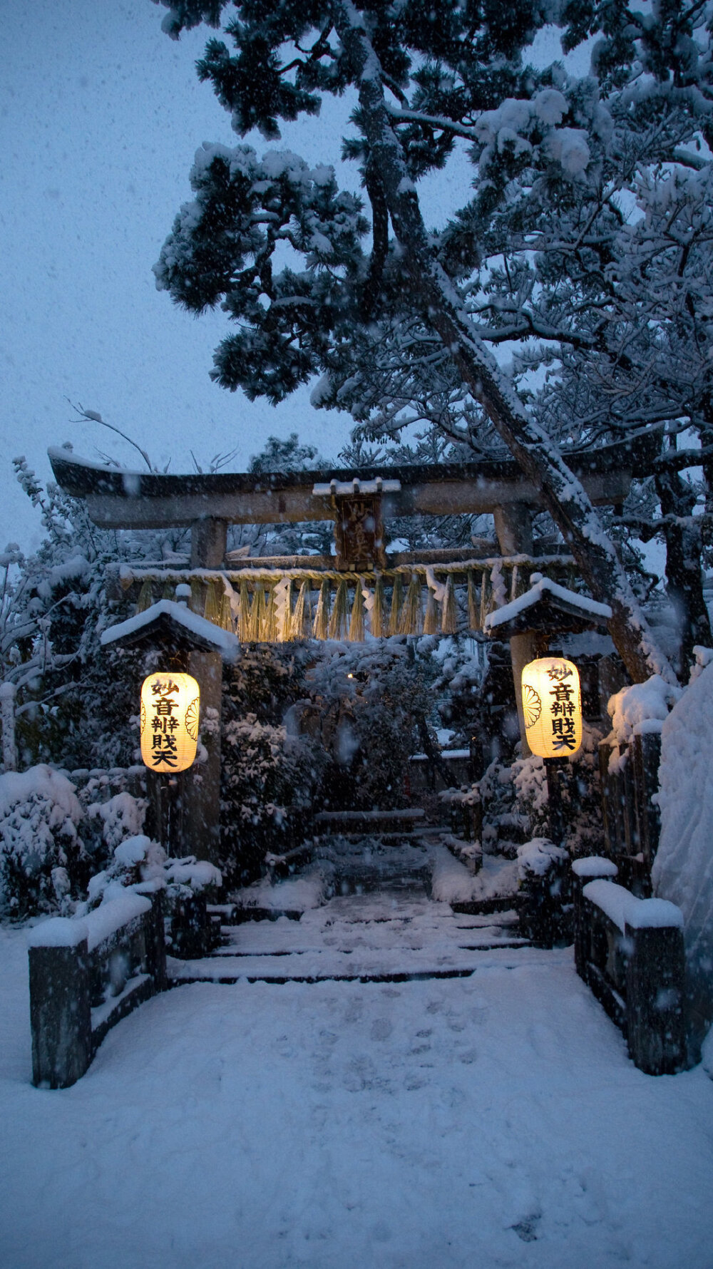 雪景