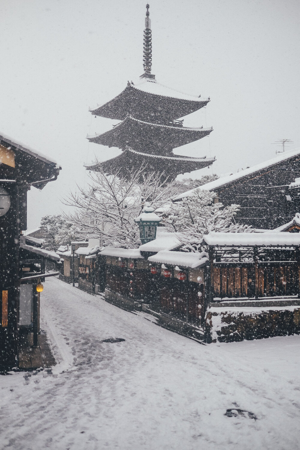 雪景