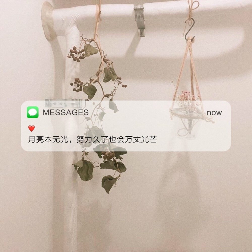 Messages文案 | 朋友圈背景图