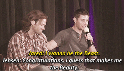 转载自各处/侵删