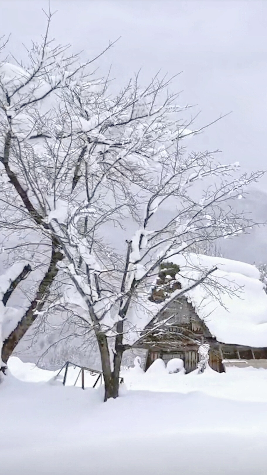 雪景