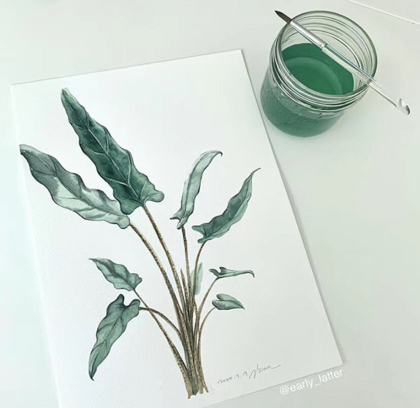 植物绘，插画师 ​Georgina Luck