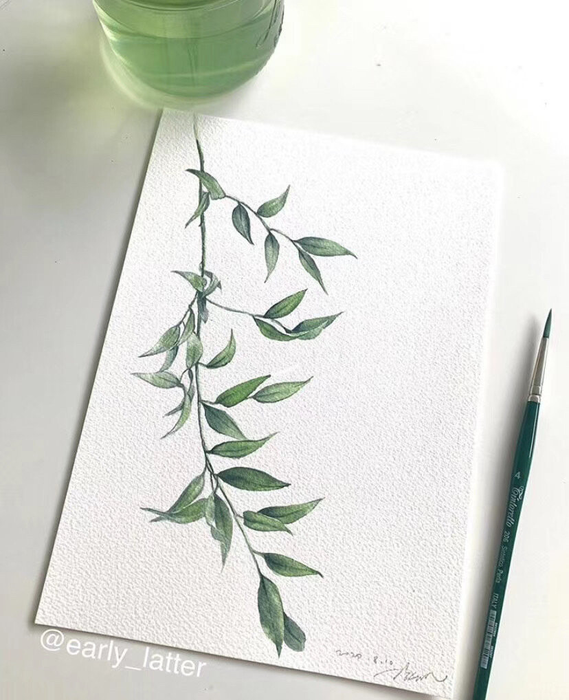 植物绘，插画师 ​Georgina Luck