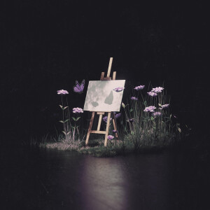 收集的音乐专辑封面图