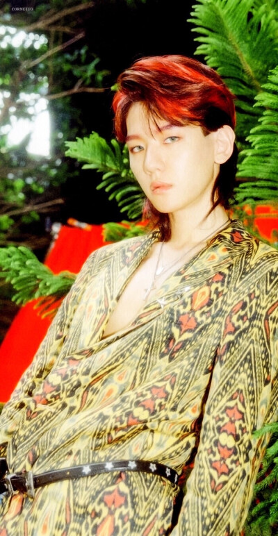 kokobop