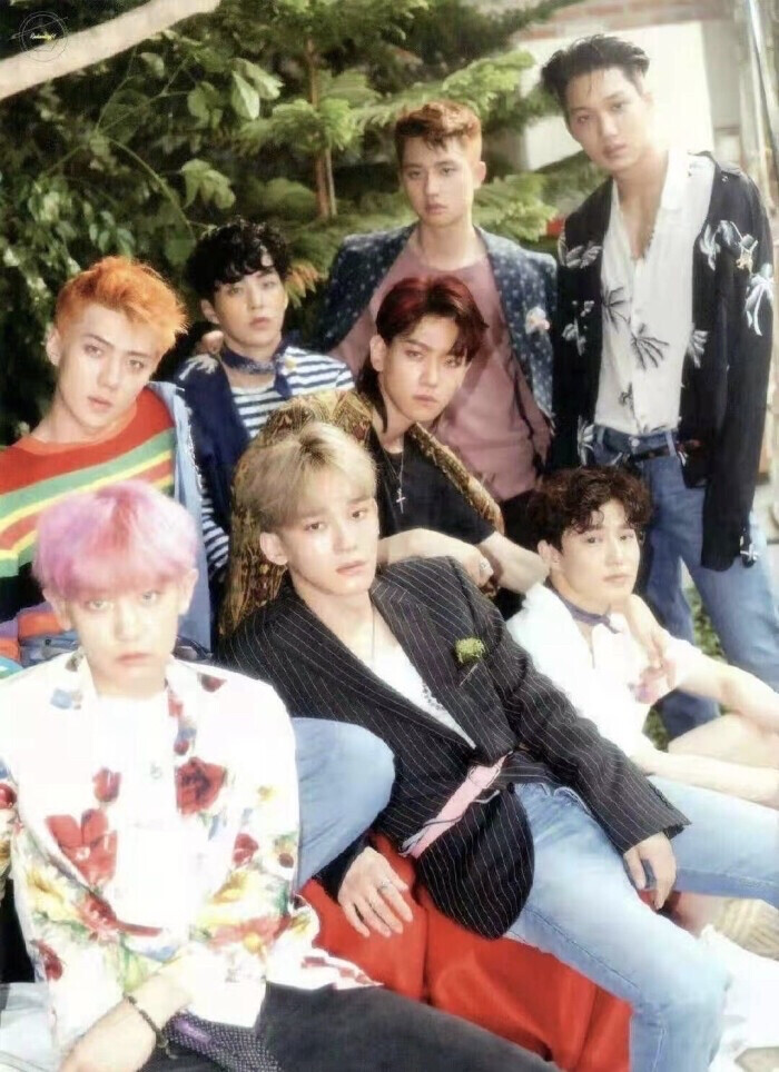 kokobop