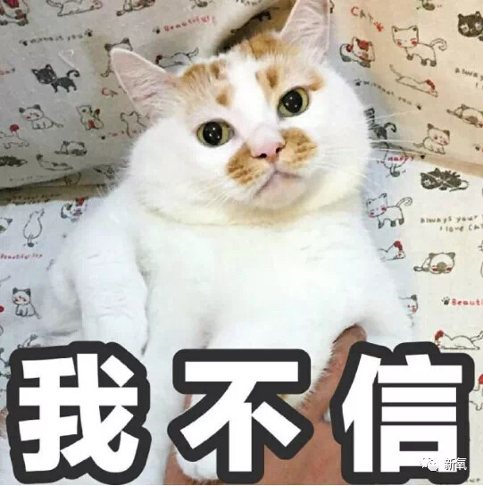 我不信