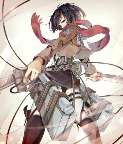 mikasa
三笠·阿克曼