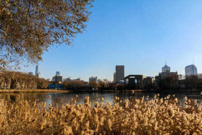 天津大学