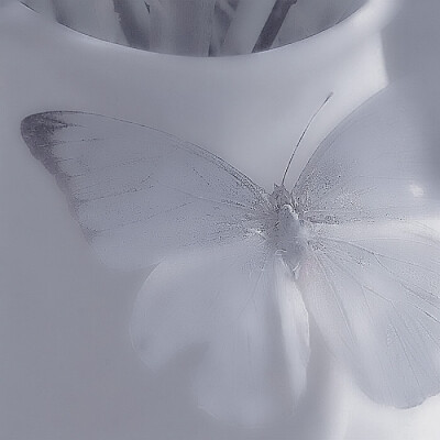 
*White Butterfly
◎裴珠泫