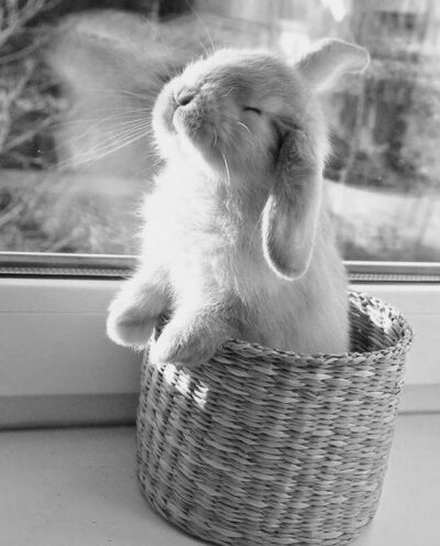 绘画素材素描速写人物意境灵感帅哥美女水彩风景欧美