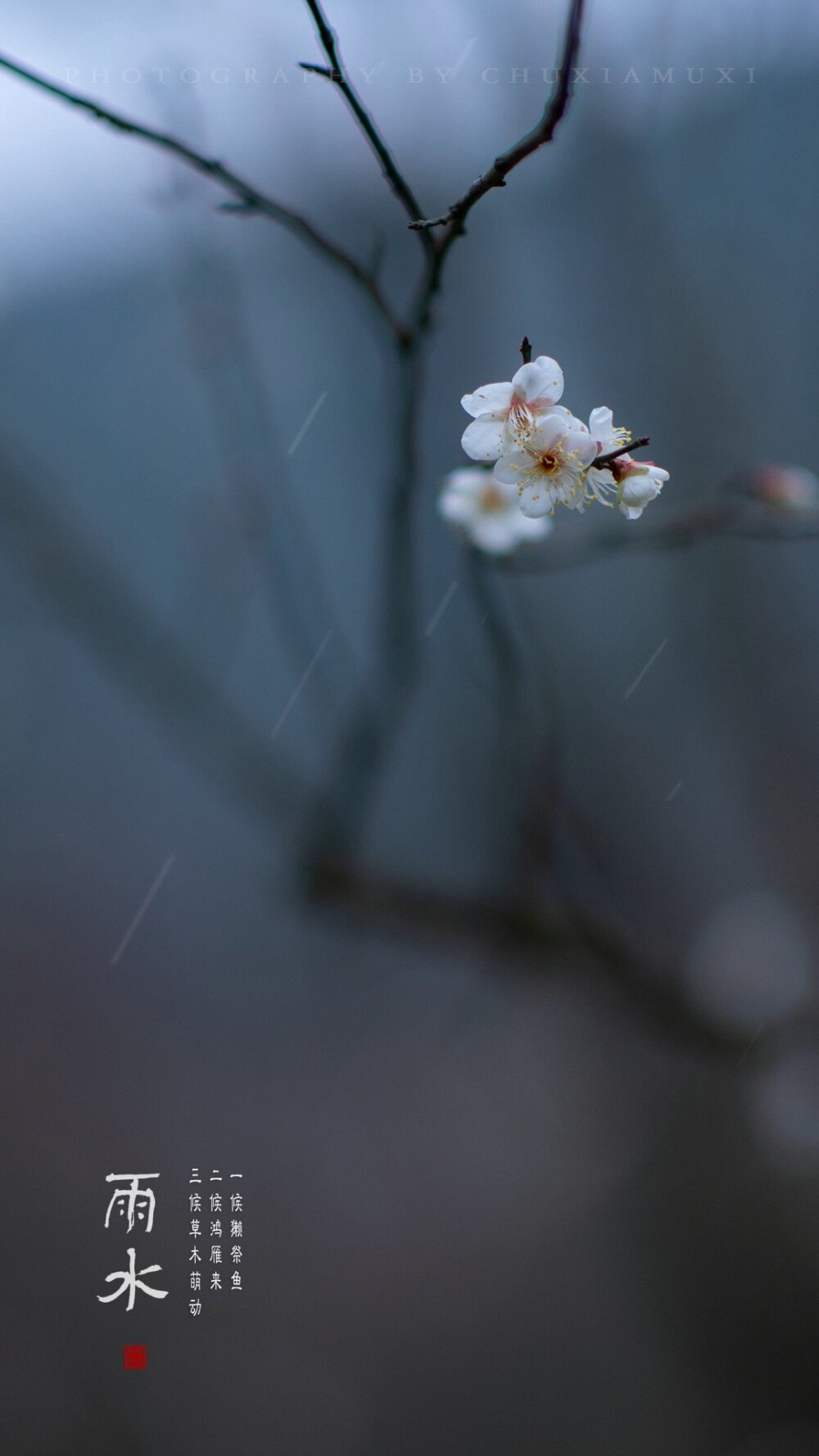 雨