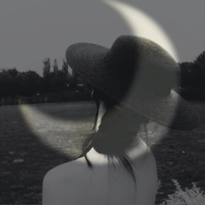 A.Lily。
黑白女头。