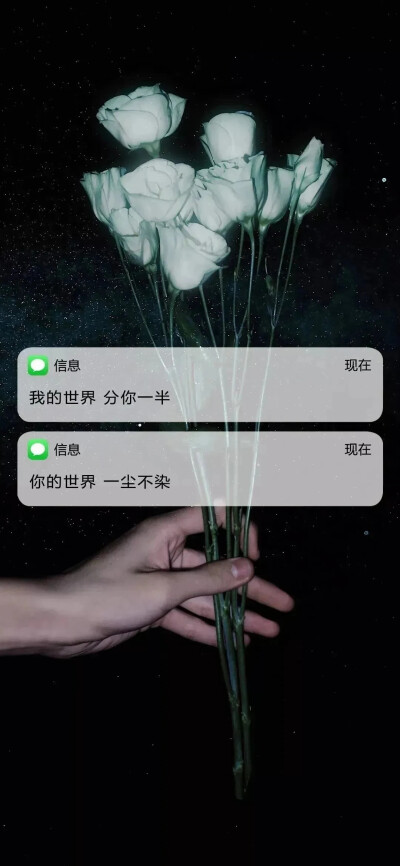 全面屏壁纸