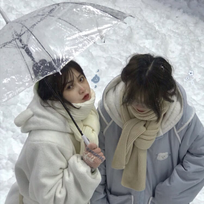 姐妹