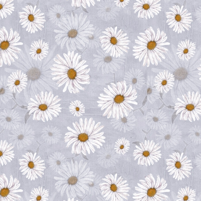  # 小 雏 菊***White Daisy
