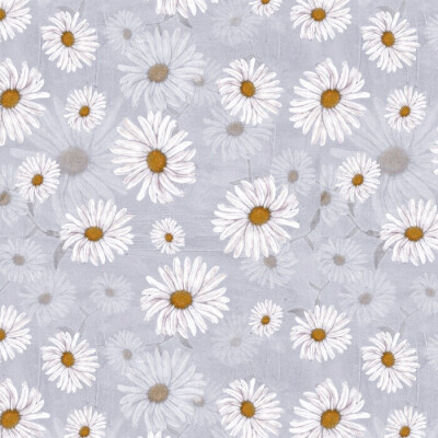  # 小 雏 菊***White Daisy
