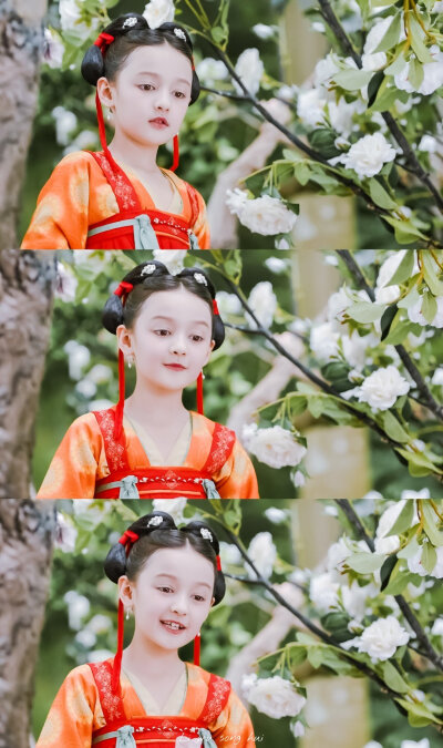 小琉璃 | 爱克达
来源wb