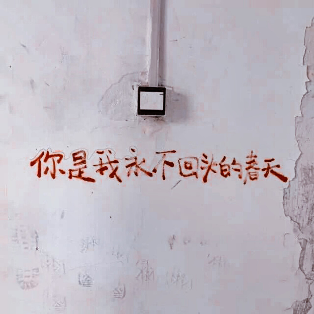 段小薇/江柒甜
两套图