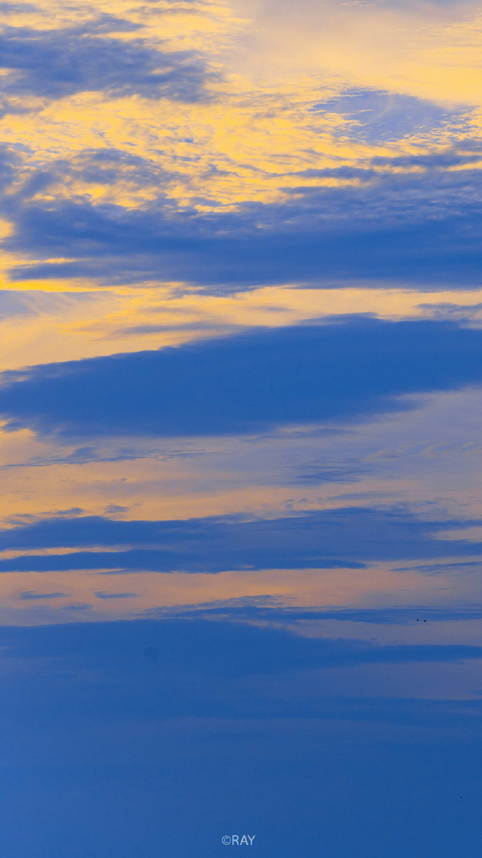 ᴵᶠ ʸᵒᵘ ᵃʳᵉ ᵃ ᵖᵃˢˢᵉʳᵇʸ, ʸᵒᵘ ˢʰᵒᵘˡᵈ ᵖᵃˢˢ ᵇʸ .
是路人就该好好路过。