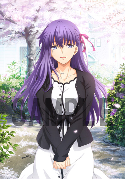 剧场版动画《Fate/stay night: Heaven's Feel III. spring song》BD/DVD 彩绘